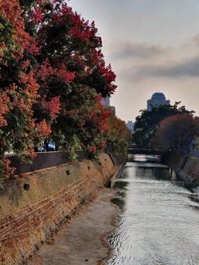 Gün batımında çiçek açan ağaçların yakınındaki bir kanalın dikey görüntüsü.