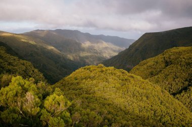 Yoğun ağaçlarla çevrili yeşil dağların havadan görünüşü