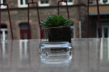 Kül tablası ve çiçekli terasse.