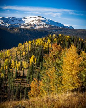 Colorado 'daki tepedeki renkli ağaçların nefes kesici manzarası.