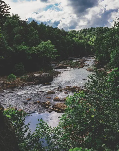 Une Rivière Rocheuse Entourée Pins Verts Sous Ciel Nuageux — Photo