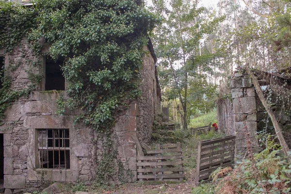 Old Abandoned House Galicia Spain Woods Area Has Lost Many — Stock Photo, Image