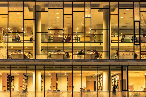 Die Studenten Bereiten Sich Der Universitätsbibliothek Auf Eine Prüfung Vor — Stockfoto