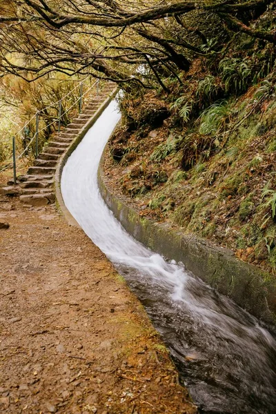Pionowe Ujęcie Płynącej Prostej Rzeki Lesie Schodami Maderze Portugalia — Zdjęcie stockowe