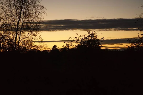Krásný Žlutý Západ Slunce Panorama Siluetami Stromů — Stock fotografie