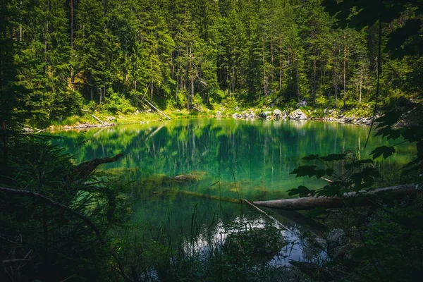 Paisagem Com Lago Floresta Alemanha Baviera Eibsee — Fotografia de Stock