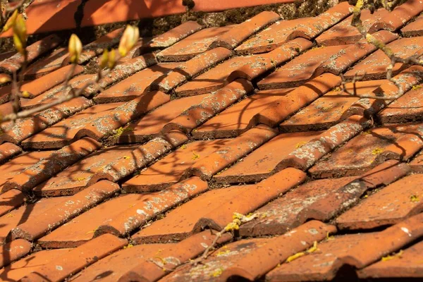 Carreaux Toit Rouge Brique Victorienne Altérés Soleil Printemps — Photo