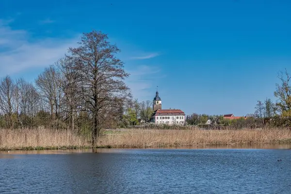 Een Rustige Vijver Omringd Door Droog Gras Bomen — Stockfoto