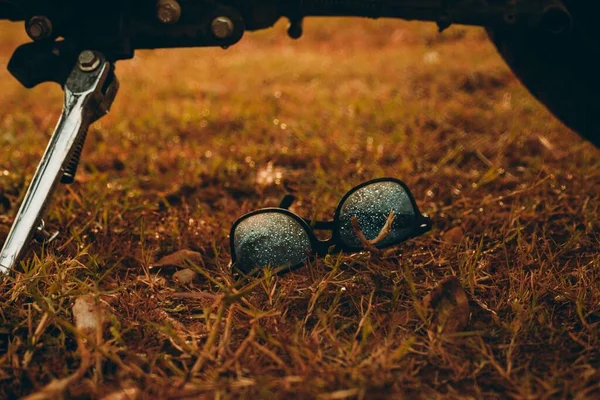 Tiro Ângulo Baixo Par Óculos Sol Molhados Campo Grama — Fotografia de Stock