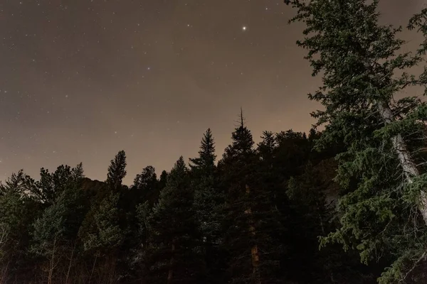 Kiefern Der Nacht Raymond Colorado — Stockfoto