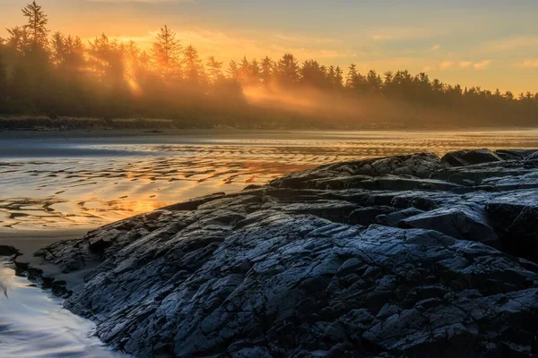 Denizin üzerindeki altın gün batımının büyüleyici görüntüsü