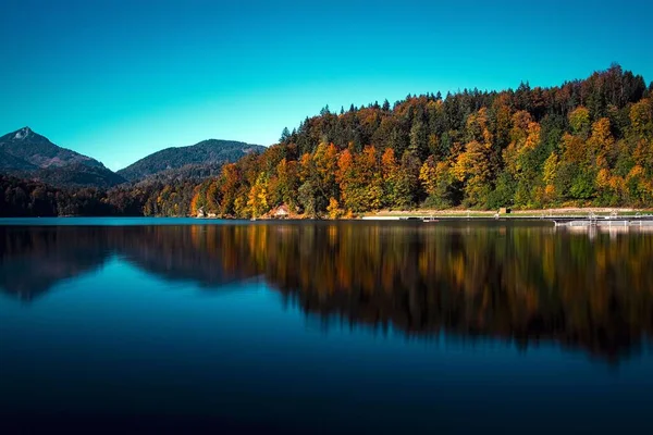 Uma Bela Vista Lago Calmo Rodeado Árvores — Fotografia de Stock