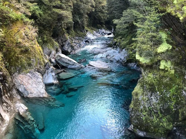 在阳光明媚的日子里 森林里流淌着美丽的湖景 — 图库照片