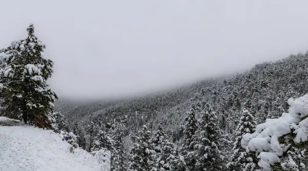 겨울에 콜로라도 레이먼드 근처에 — 스톡 사진