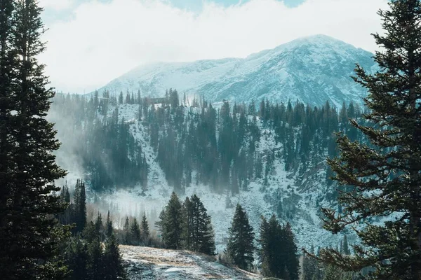 Una Hermosa Vista Paisaje Con Montañas Árboles Cubiertos Nieve — Foto de Stock