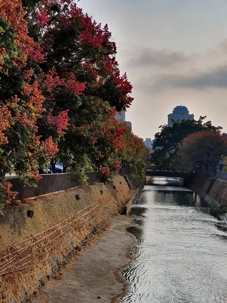 Gün batımında çiçek açan ağaçların yakınındaki bir kanalın dikey görüntüsü.