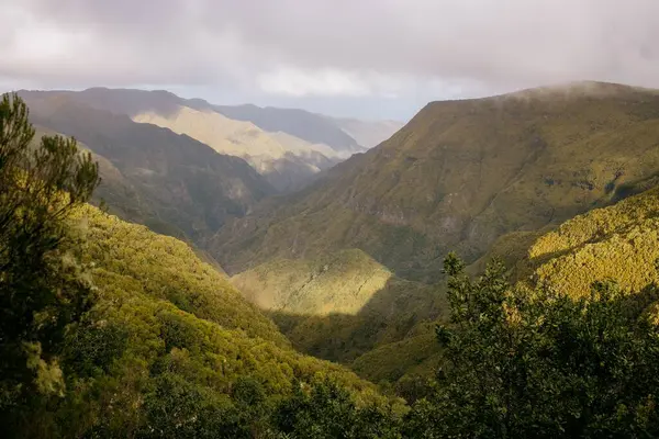 Luftaufnahme Grüner Berge Umgeben Von Dichten Bäumen — Stockfoto