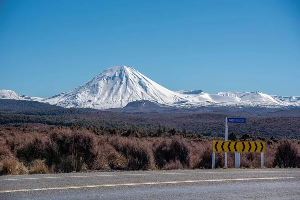 새로운 뉴질랜드의 Sh1 표지판 전경에 도로라고 도불린다 — 스톡 사진