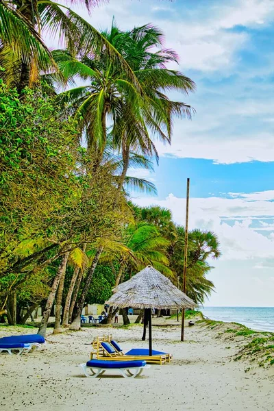 Colpo Verticale Una Spiaggia Sabbia Tropicale Con Lettini Blu Sotto — Foto Stock