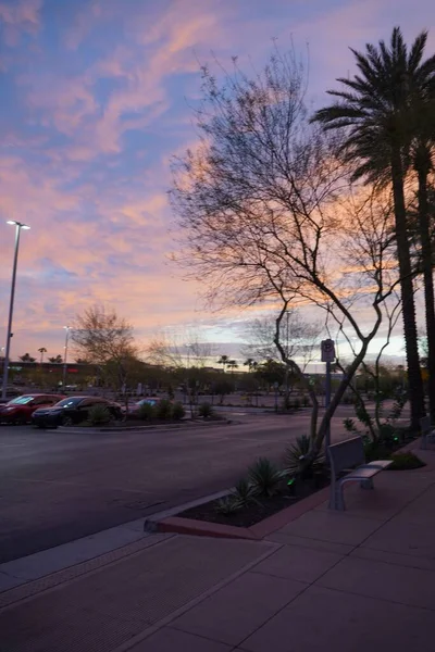日没時に駐車車や木のある通りの垂直ショット — ストック写真