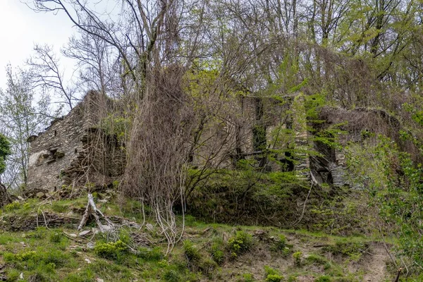 The ruins of an old building in the forest