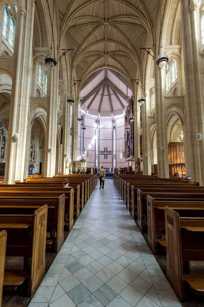 Een Verticaal Shot Van Paul Cathedral Interieur Dunedin South Island — Stockfoto