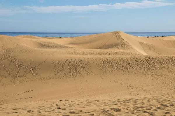 Ökenlandskap Med Afrikansk Sand Och Sanddyner Gran Canaria Spanien — Stockfoto
