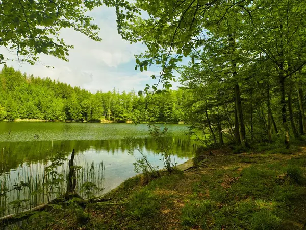 Живописный Вид Горное Озеро Деревьями Небо Отражается Воде Зальцбурге — стоковое фото