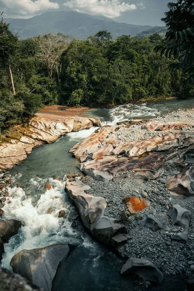 Plan Vertical Une Rivière Qui Coule Travers Une Forêt Colombie — Photo