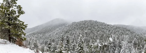 Rocky Mountains Vintern Nära Raymond Colorado — Stockfoto