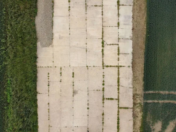 Het Bovenaanzicht Van Witte Trottoir Bij Haag Het Gras — Stockfoto