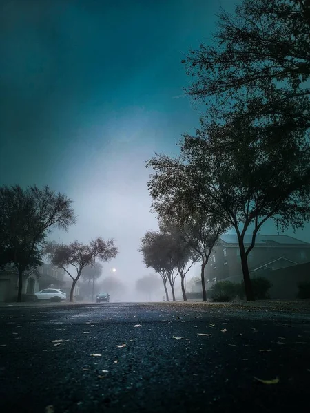 Вертикальний Знімок Тротуарної Дороги Деревами Будівлями Під Темним Туманним Небом — стокове фото