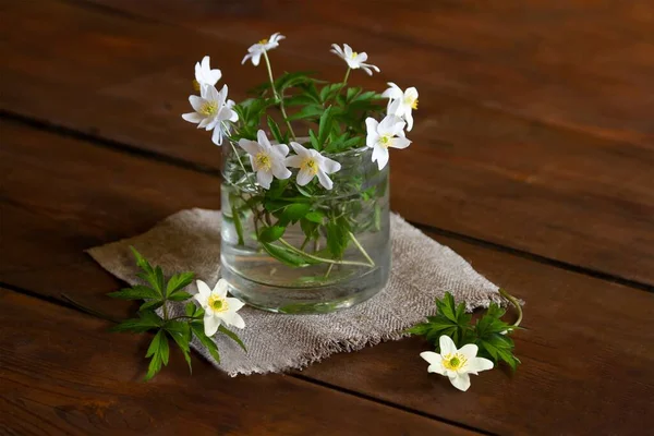 A Closeup of Anemone quinquefolia (Wood anemone) flowers in a glass cup on a wooden table