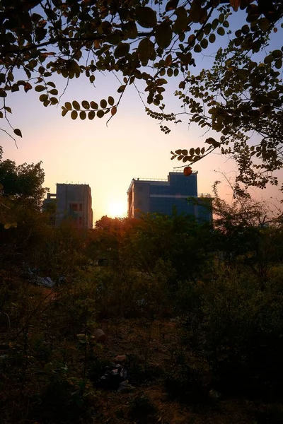 A vertical shot of buildings and trees against a purple sunset