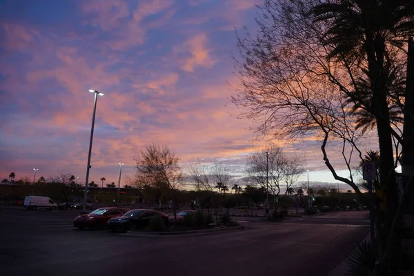 Une Rue Avec Des Voitures Garées Des Arbres Coucher Soleil — Photo