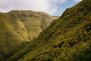 Portekiz, Madeira 'da mavi bulutlu gökyüzü ile güzel bir dağ manzarası.