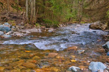 Thüringen Ormanı 'ndan geçen taşlı bir nehir.