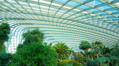 Singapur Körfezi yakınlarındaki ünlü bahçelerin içeriden görünüşü.