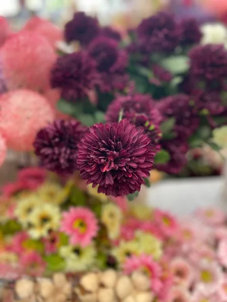 Tiro Vertical Crisântemos Roxos Com Outras Flores Fundo — Fotografia de Stock