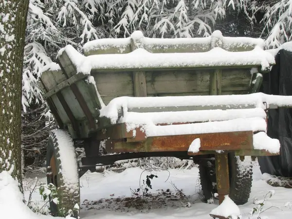 冬の公園の雪に覆われた古い木のカート — ストック写真