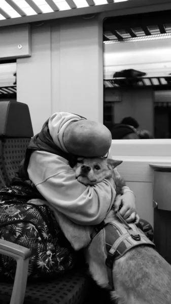 一只秃头男子坐在火车上抱着狗的垂直灰白色镜头 — 图库照片