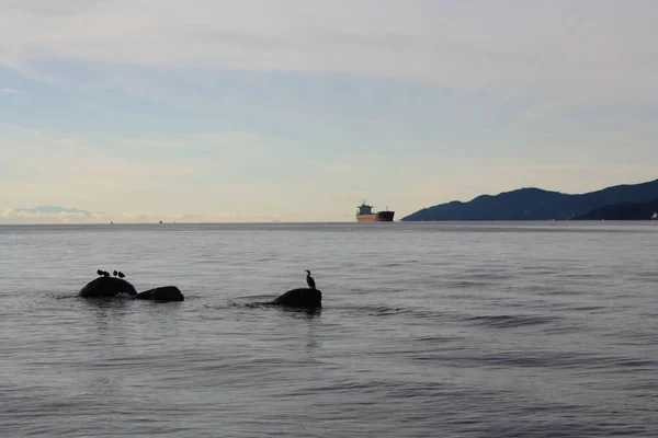 Vancouver British Columbia Kanada Daki Bir Kargo Gemisiyle Göldeki Kayaların — Stok fotoğraf