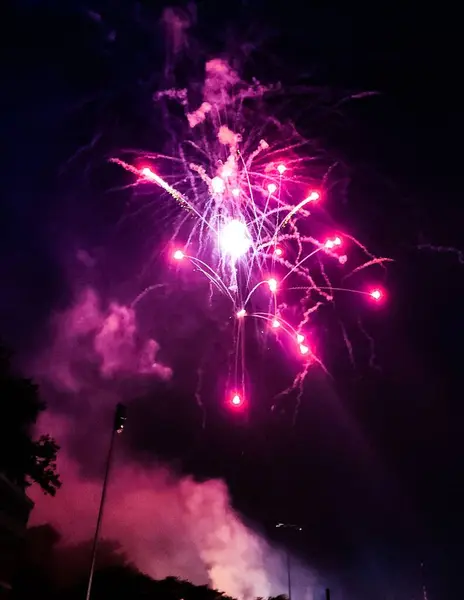 Fényes Tűzijáték Égen — Stock Fotó