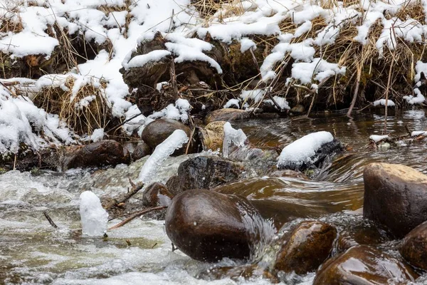 Neve Inverno Middle Vrain Creek Raymond Colorado — Fotografia de Stock