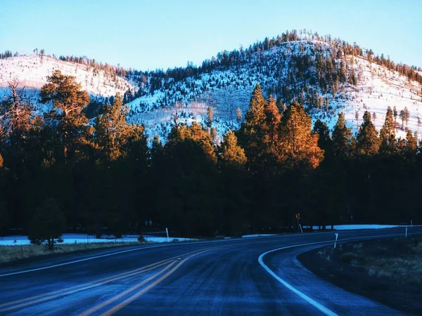 Una Montaña Bosques Nieve Carretera Utah — Foto de Stock