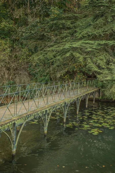 Uma Ponte Sobre Água Lugar Natural Verde Com Vegetação — Fotografia de Stock