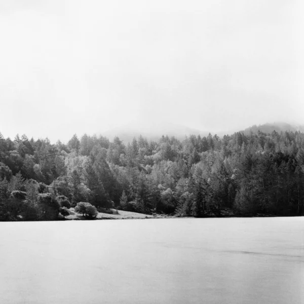 Tamalpais Dağı Kaliforniya Ağaçlarla Çevrili Bir Göl — Stok fotoğraf