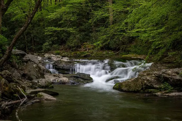 森林中岩石与树木之间的河流美景 — 图库照片