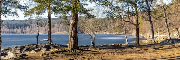 Una Vista Panorámica Los Árboles Alrededor Del Lago —  Fotos de Stock