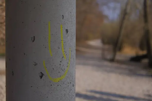 背景がぼやけている金属製の棒の上に笑顔の顔のクローズアップショット — ストック写真